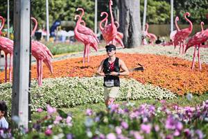 BIB: 
                            <button type="button" onclick="openModal(27794036)" class="btn btn-primary btn-sm float-right btn-popup" data-toggle="modal" data-target=".modal-high-quality">
                        <i class="fas fa-shopping-cart"></i> Add to Cart
                    </button>
                                            <button type="button" onclick="isThisMe(27794036, true)" class="btn btn-success btn-sm float-right btn-popup btn-isme hidden" data-toggle="tooltip" data-placement="bottom" title="นี่คือรูปของคุณใช่ไหม คลิกที่นี่เพื่อเอาเข้าอัลบั้ม">
                        <i class="fas fa-plus"></i> Add to album
                    </button>
                    <button type="button" onclick="isThisMe(27794036, false)" class="btn btn-warning btn-sm float-right btn-popup btn-isnotme hidden">
                        <i class="fas fa-ban"></i> Remove from album
                    </button>